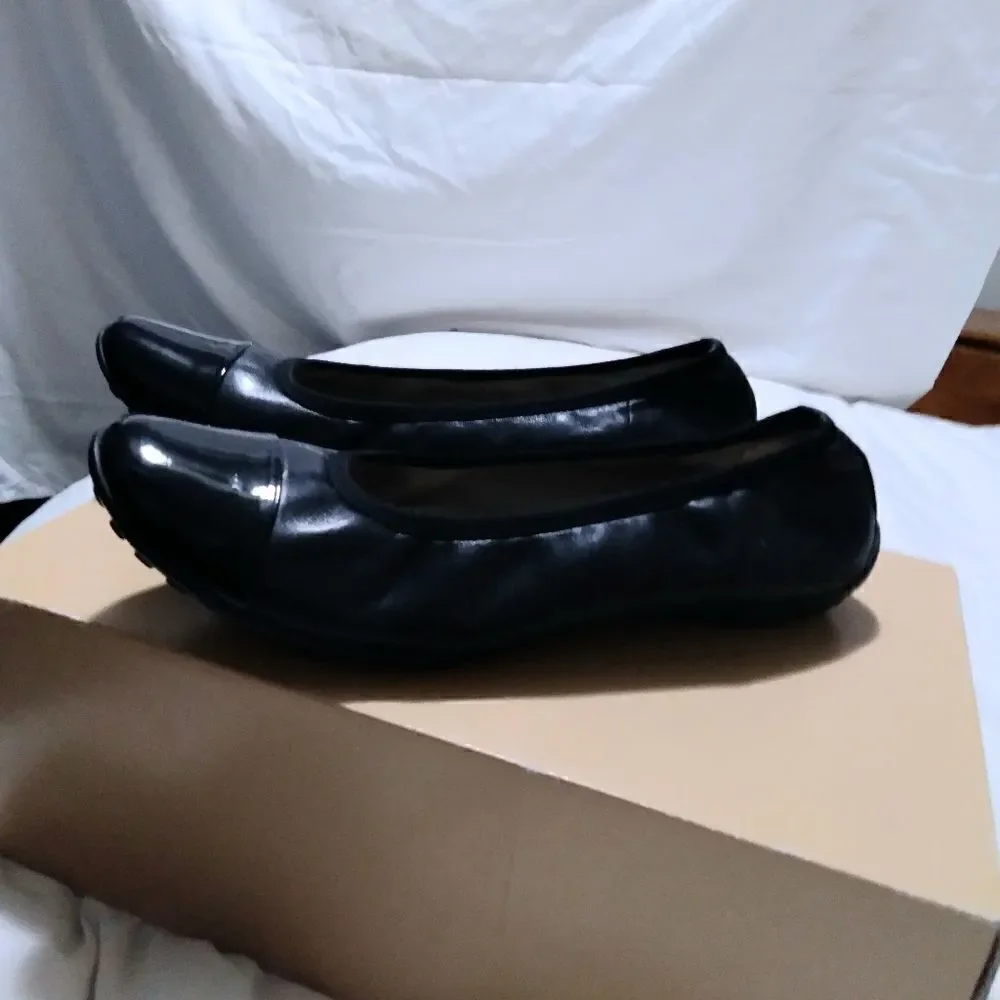 Robert Zur black liric